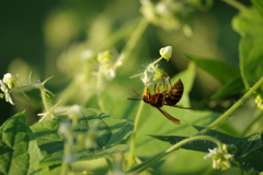 あいてますか？