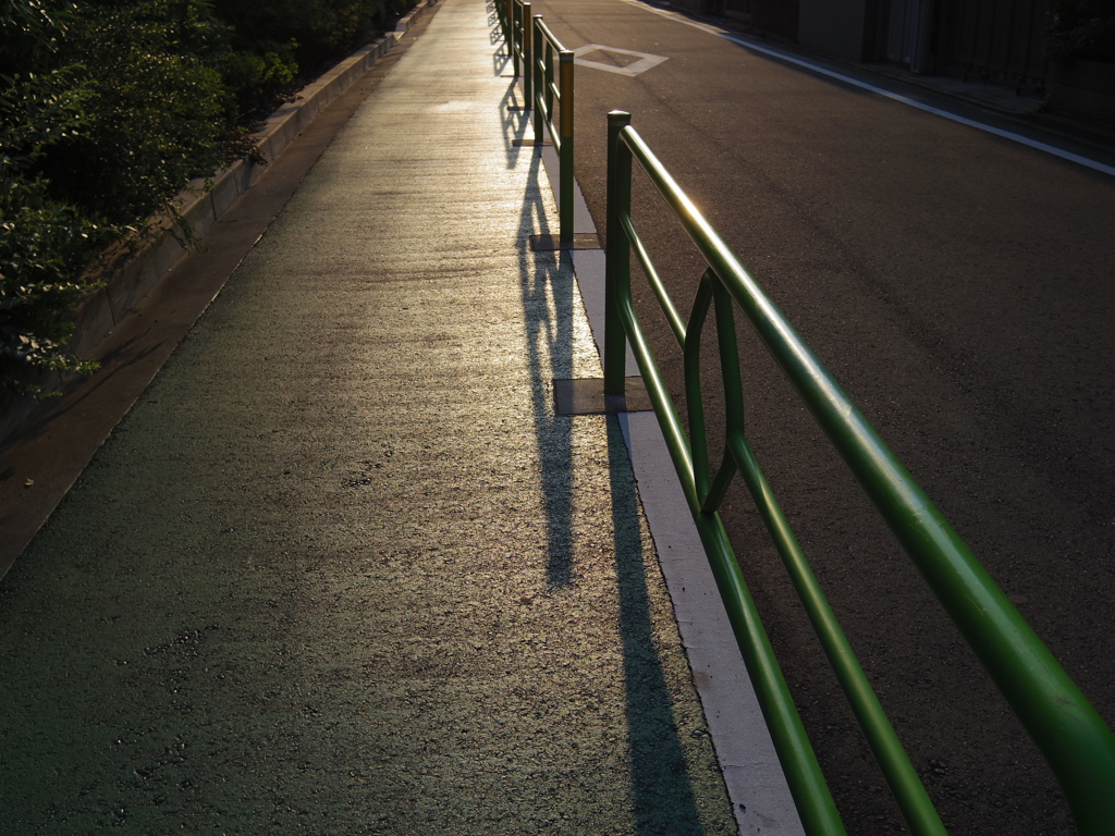 歩道に落ちる影