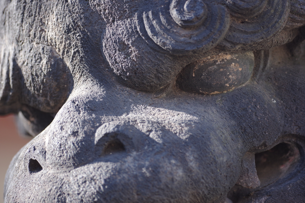 江戸期の名工、飯島吉六の狛犬＠鮫洲八幡