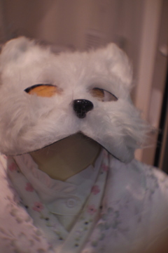 犬女