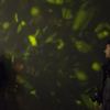Amorphous 2