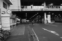 借りてきたX-T20で 7