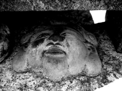 狛犬を下から見上げて恵比須顔