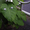 じーっ