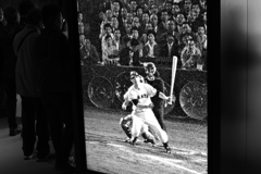 いわゆる一つのFOREVER 3