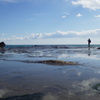 @江の島