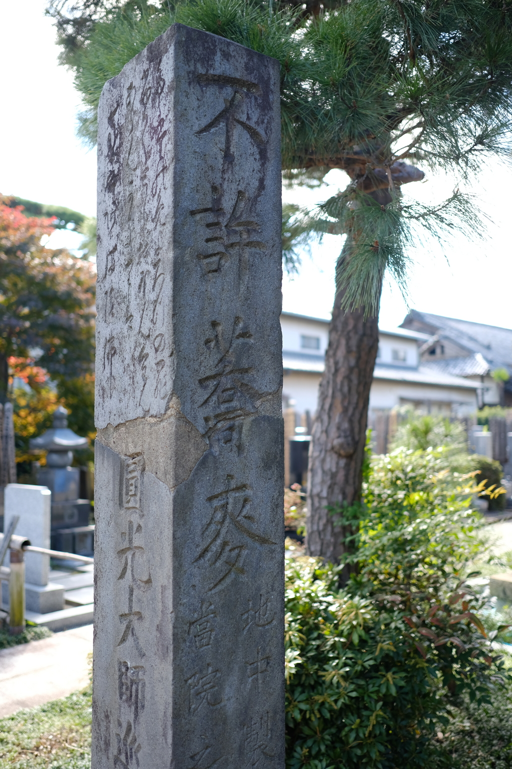 一心山 極楽寺 称往院にある、蕎麦禁断の石碑