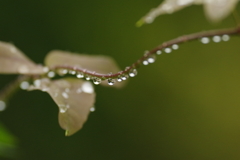 水滴