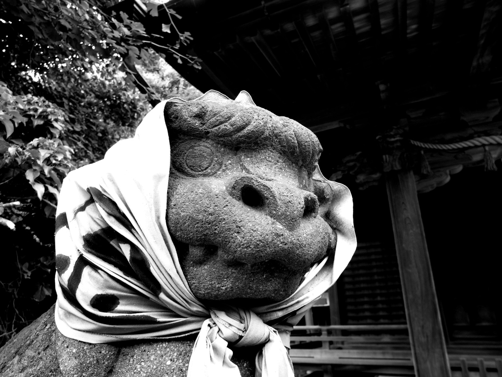 頬被り