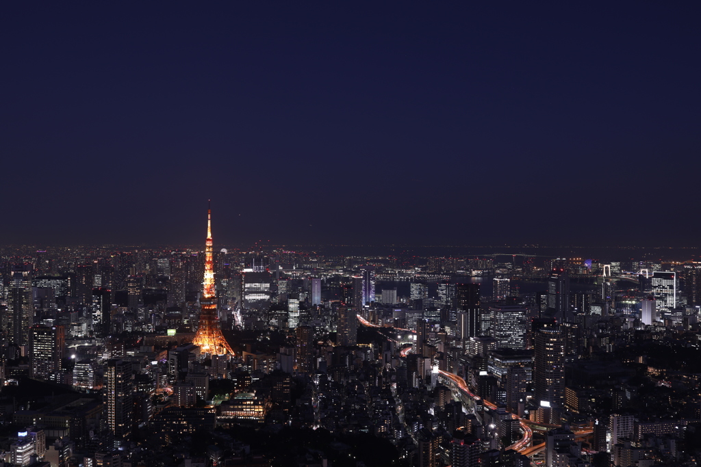 借りてきたEOS Rで 2