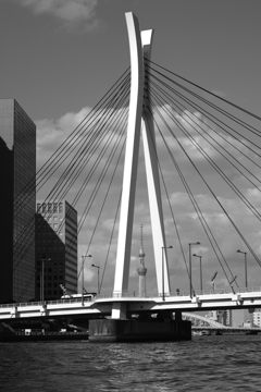 @中央大橋