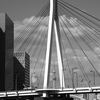 @中央大橋