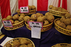 浅草酉の市 一の酉 前夜祭6