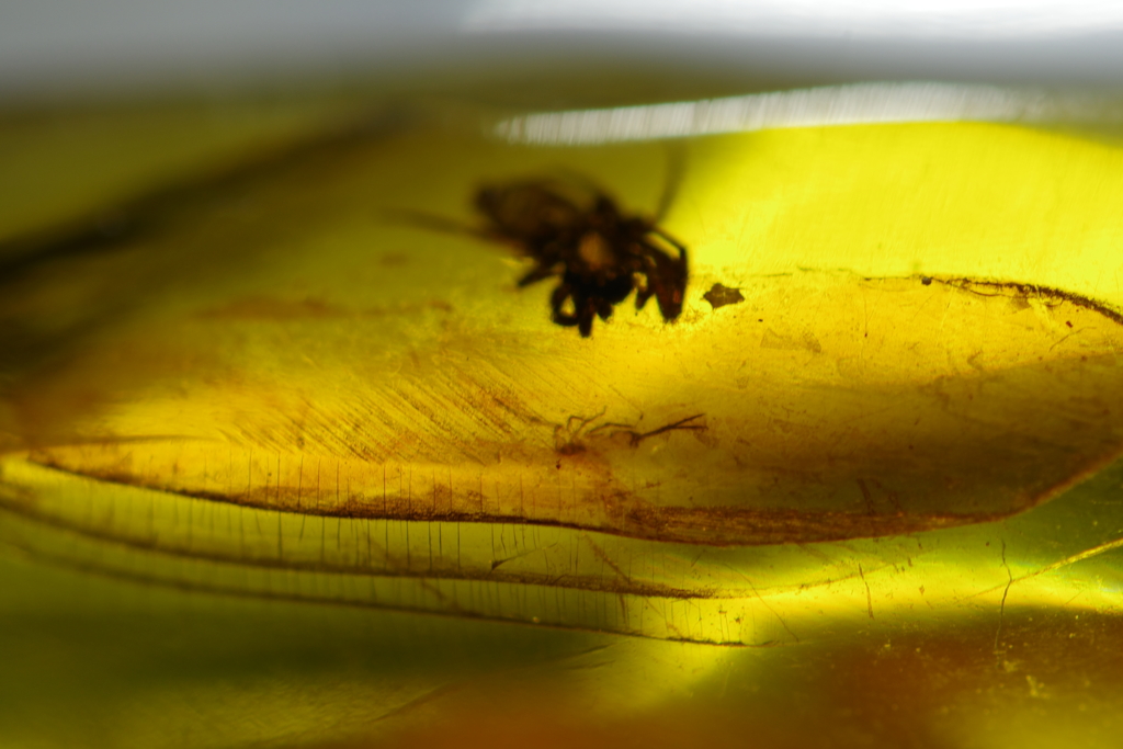 あるハンターの記録