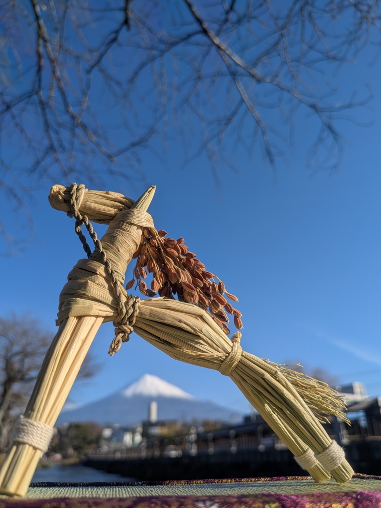 今年の年賀状用写真8