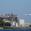 東扇島 東公園