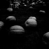 Pumpkins