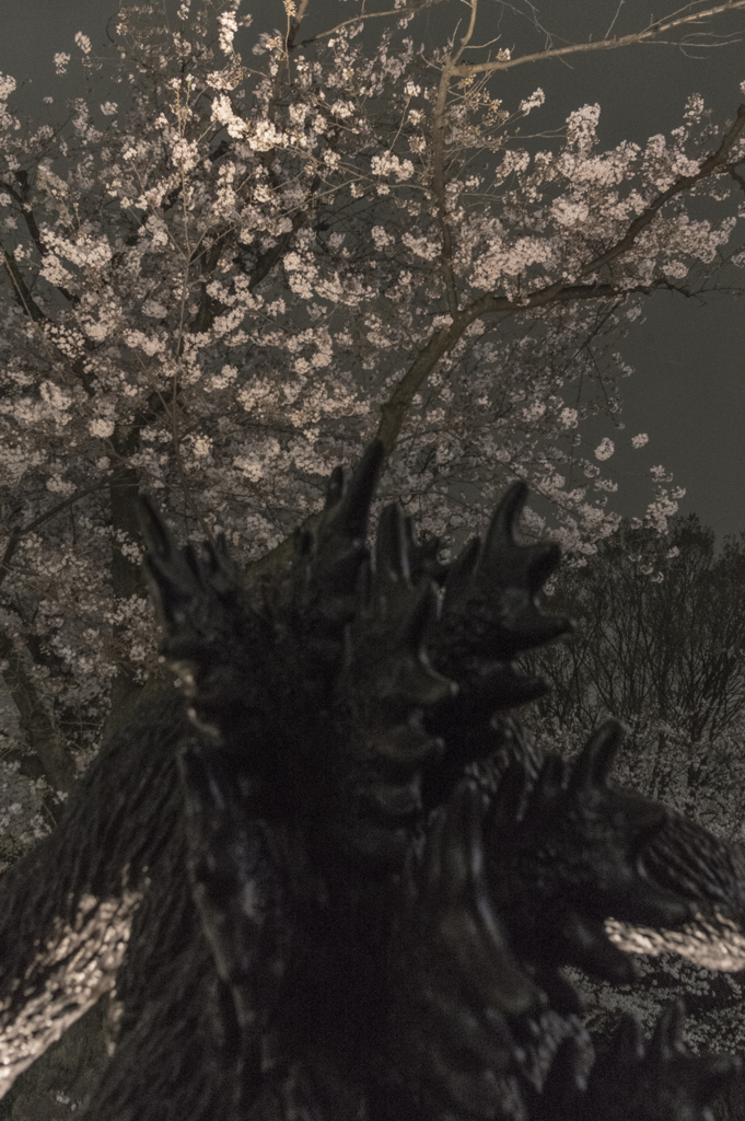 桜の下で眠れ