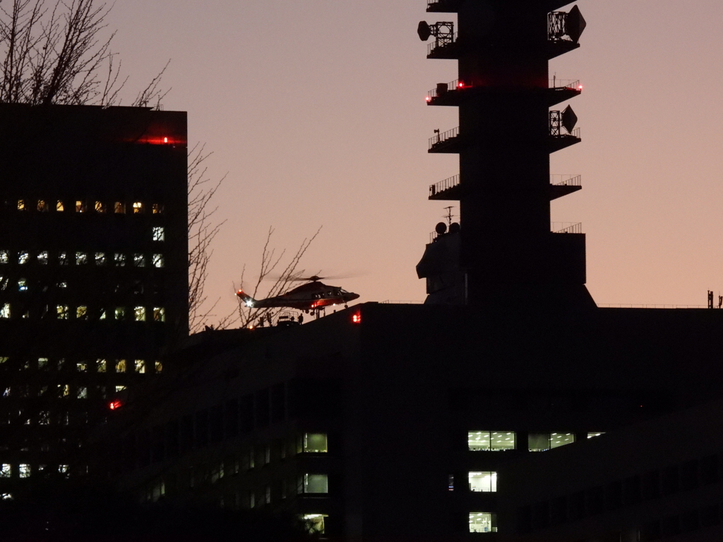 夕暮れのあらかわ3