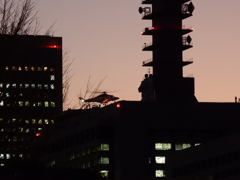 夕暮れのあらかわ3