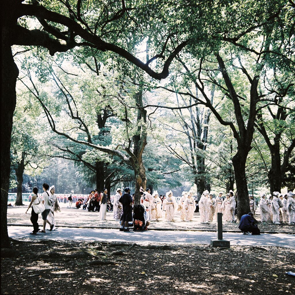 @代々木公園
