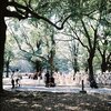 @代々木公園