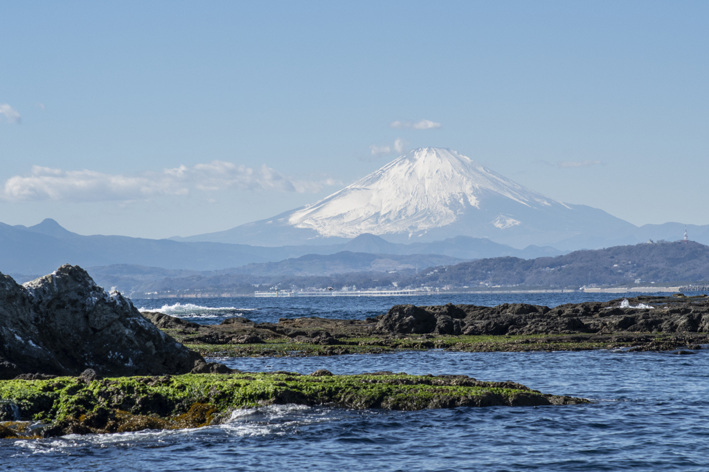今年の年賀状用写真2