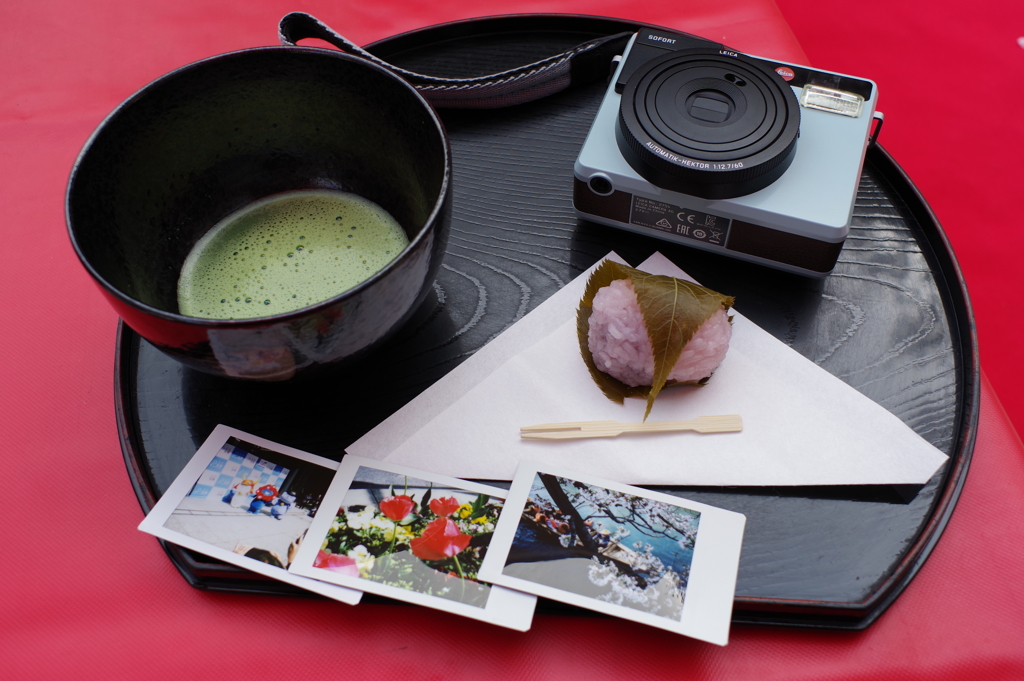 花見で一杯