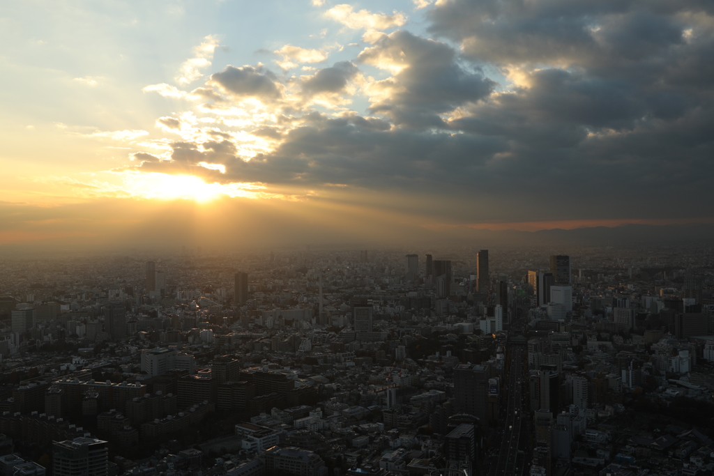 借りてきた5D4で 03:夕日