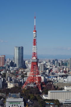 世界貿易センタービルの展望台から東京タワーを