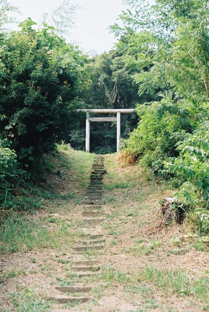 谷戸を見守る