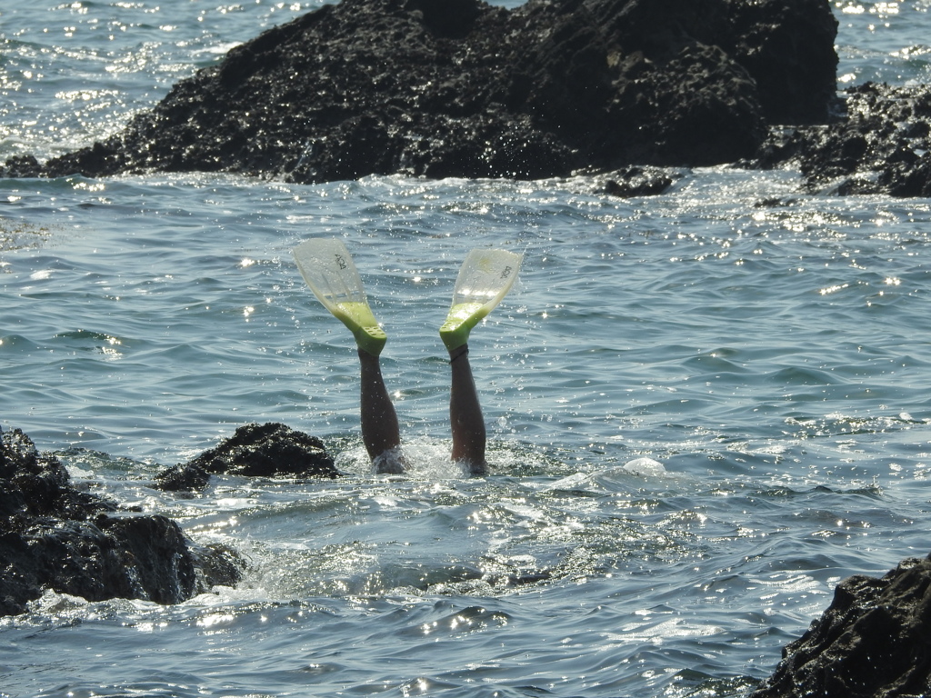 ある意味晩春ならではの光景