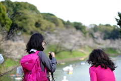千鳥ヶ淵 定点 2025 1