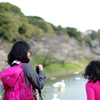 千鳥ヶ淵 定点 2025 1