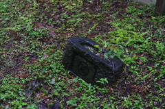 梅雨の都道413号@青山墓地