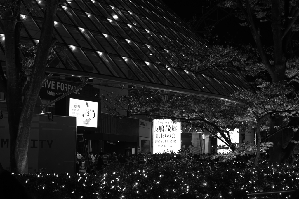 いわゆる一つのFOREVER 2