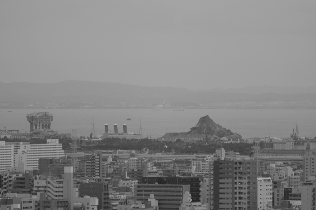 チョウゲンボウと見た景色