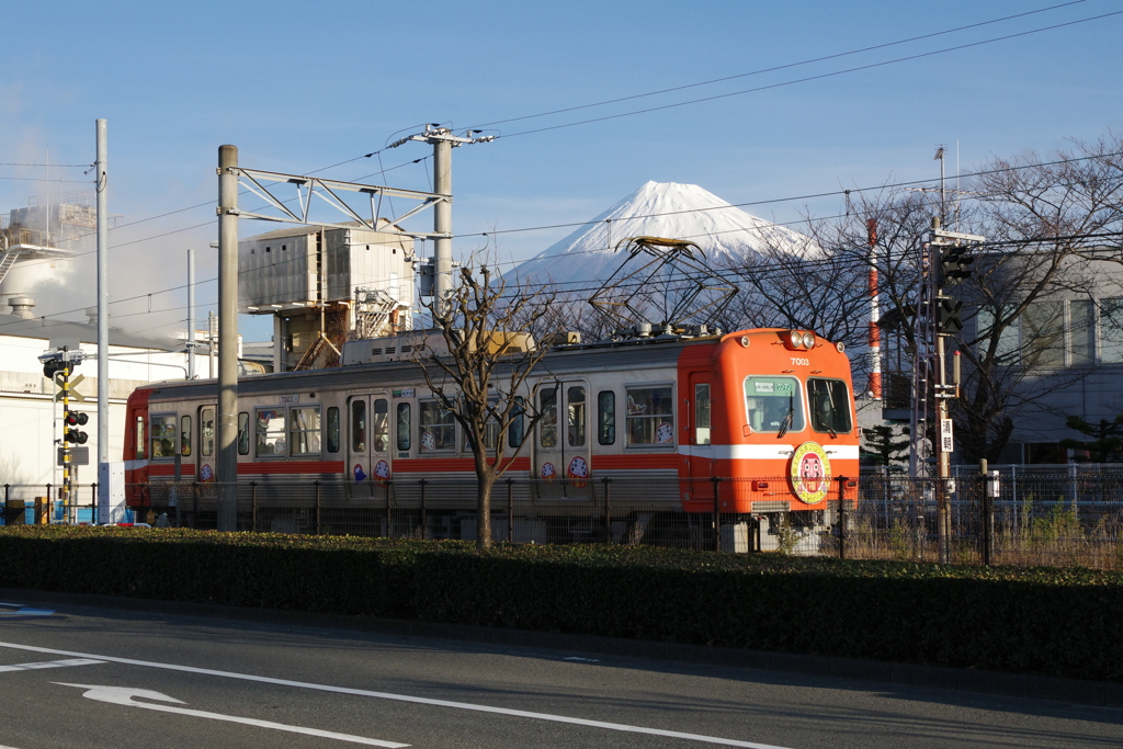今年の年賀状用写真7
