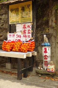 代金は募金箱へ