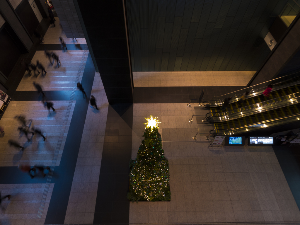 Tree #2