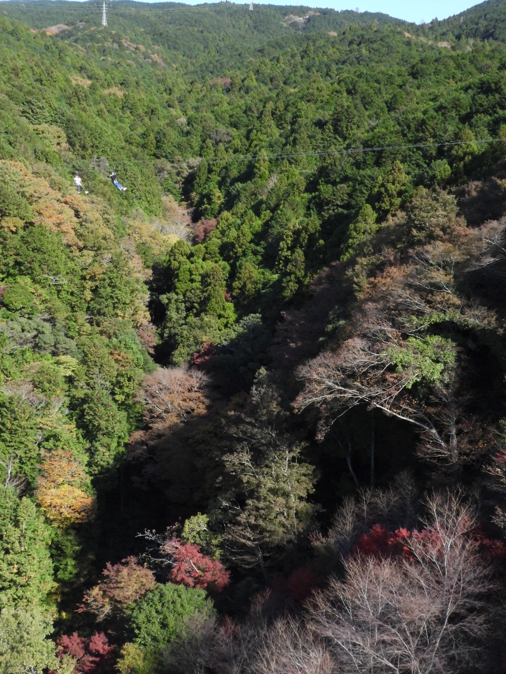 撮影に夢中の人