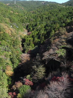 撮影に夢中の人