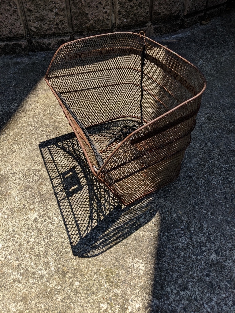 もう夏なのだなぁ