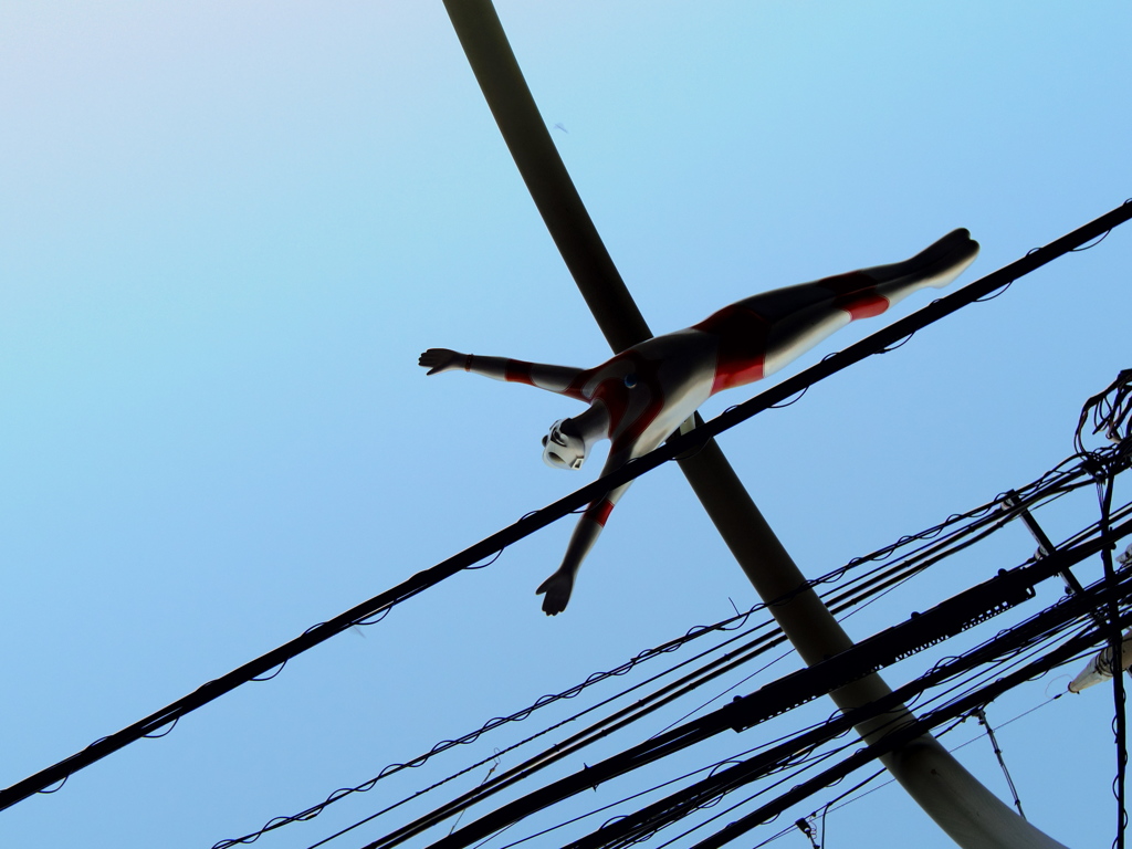 街を飛ぶ
