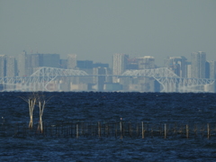 蜃気楼都市