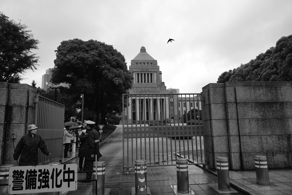 国会は雨降り
