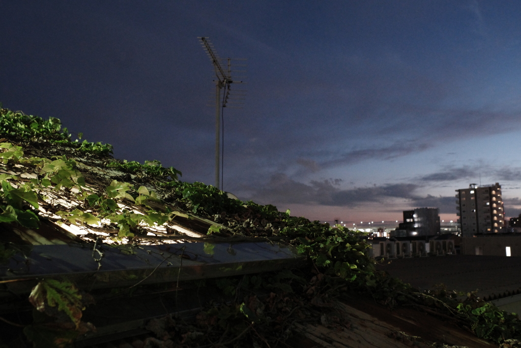 国道駅の夕暮れ
