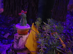 イルミネーションに誘われて5