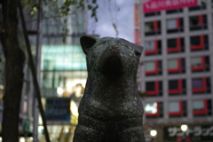 トランプ効果か?!