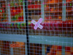 痛いの飛んでけ